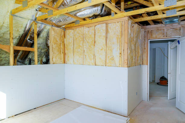 Types of Insulation We Offer in Holualoa, HI